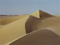 Sand For Gold
