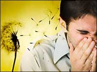 Nasal allergy