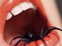 Phobia Phobia