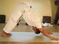 Adho Mukha Svanasana