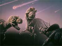 Fossil, National Geographic Fossil, National Geographic