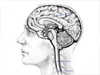 Nanoparticles Help To Kill Kids Brain Tumour
