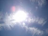Top Discoveries Of 2008 Top Discoveries Of 2008