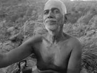 Ramana Maharshi Miracles Ramana Maharshi Miracles