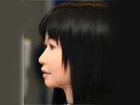 Japanese Fashion Robot