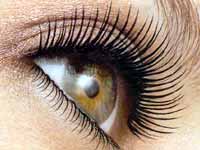 Tips to groom your eye lashes