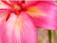 Spiritual Journey, Short story Spiritual Journey, Short story