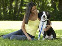 Petworking Petworking