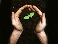 Zen story, Conscious living