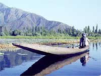Kashmir Valley