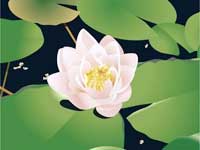 God Consciousness, Short Story