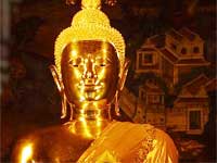 Are You A Buddha?