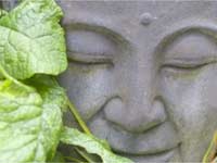 Zen story, compassion