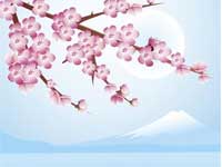 Zen story, Suchness