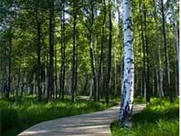 Do We Really Need A Guide In The Spiritual Journey?-III Do We Really Need A Guide In The Spiritual Journey?-III