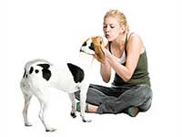Helper Dogs