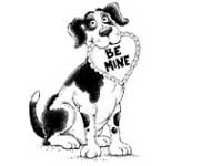 Pet friendly valentines day