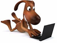 Pets on Facebook