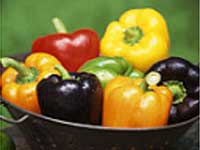 Stuffed Capsicum Snack Recipe Stuffed Capsicum Snack Recipe