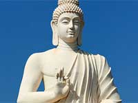 Buddha Meditation