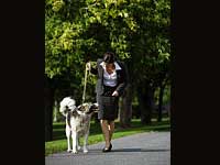 Are Pets Dangerous? Are Pets Dangerous?