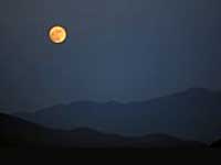 mind,osho,priya devi r,short stories,upanishads,zen stories, Serenity, Zen story