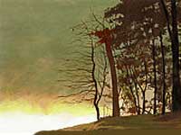 The Awakening The Awakening