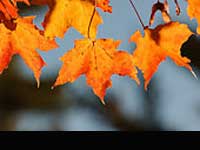 Transformation Is Imbibing Wisdom