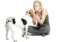 Pet Care