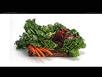 Dalma Recipe