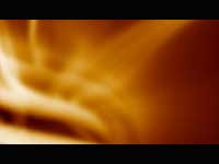 The Power Of The Brahman The Power Of The Brahman