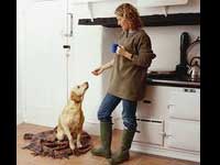 Treat Your Pet Right