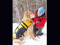 The Way You Care For Your Pet, Defines You! The Way You Care For Your Pet, Defines You!
