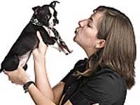 Dogs And Stress