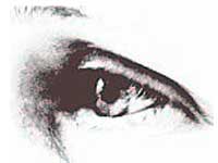 Osho-The Perfect Creation