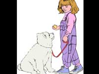 Pet Weight Loss