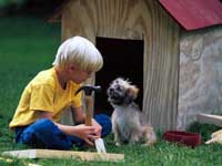 Dog Kennel