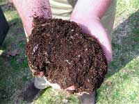 Mango Compost Mango Compost