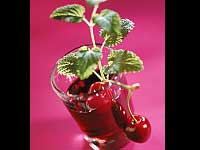 Tart Cherry Juice