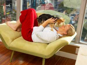 Dog Breeds Apartment