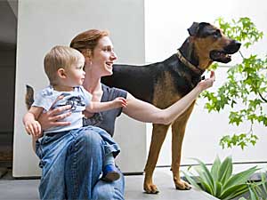 Kids Pets