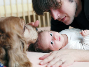 Dog Obedience Training Tips Dog Obedience Training Tips