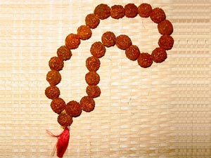Rudraksha Beads Benefits-14 to 21 Mukhis Rudraksha Beads Benefits-14 to 21 Mukhis