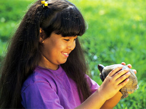 Tortoise As Pets: Suitable Types Tortoise As Pets: Suitable Types