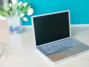 Having A Small Garden In Office Cubicle? Having A Small Garden In Office Cubicle?