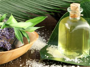 Eucalyptus Oil Therapy For A Great Body! Eucalyptus Oil Therapy For A Great Body!