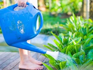 5 Vegetables To Grow In Winter 5 Vegetables To Grow In Winter