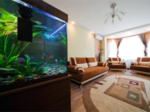 6 Places At Home To Keep Fish Tanks! 6 Places At Home To Keep Fish Tanks!