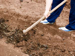 How To Prepare Soil For Your Garden? How To Prepare Soil For Your Garden?
