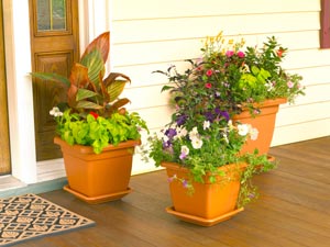 How To Choose Containers For Your Garden How To Choose Containers For Your Garden